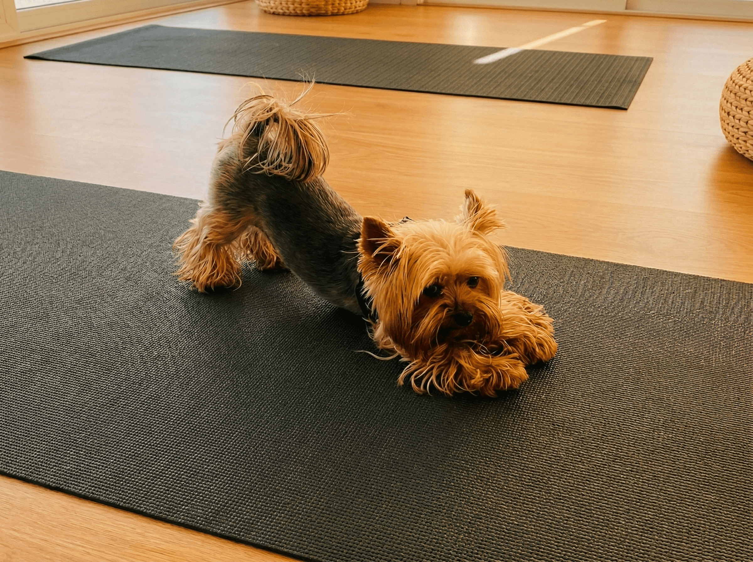 Пространство на студиото и приветливи детайли